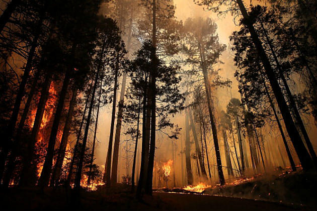 Washington Budget Bill Contains Wildfire Money