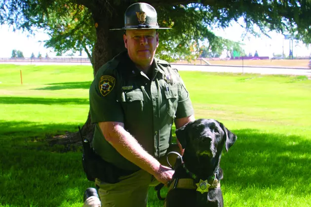 Two Wyoming Highway Patrol Dogs Retire After Combined 17 Years of Service