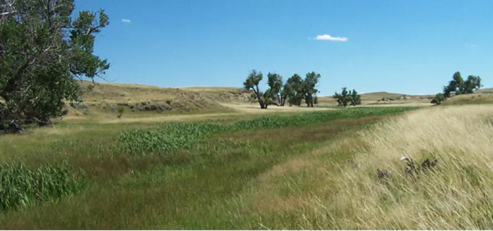 Forest Service Eases Fire Restrictions on National Grassland, Laramie Peak