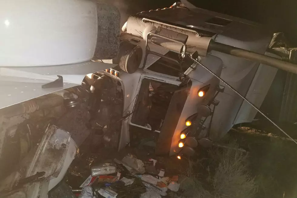 Driver Hospitalized, 13 Cows Killed in Southern Wyoming Crash