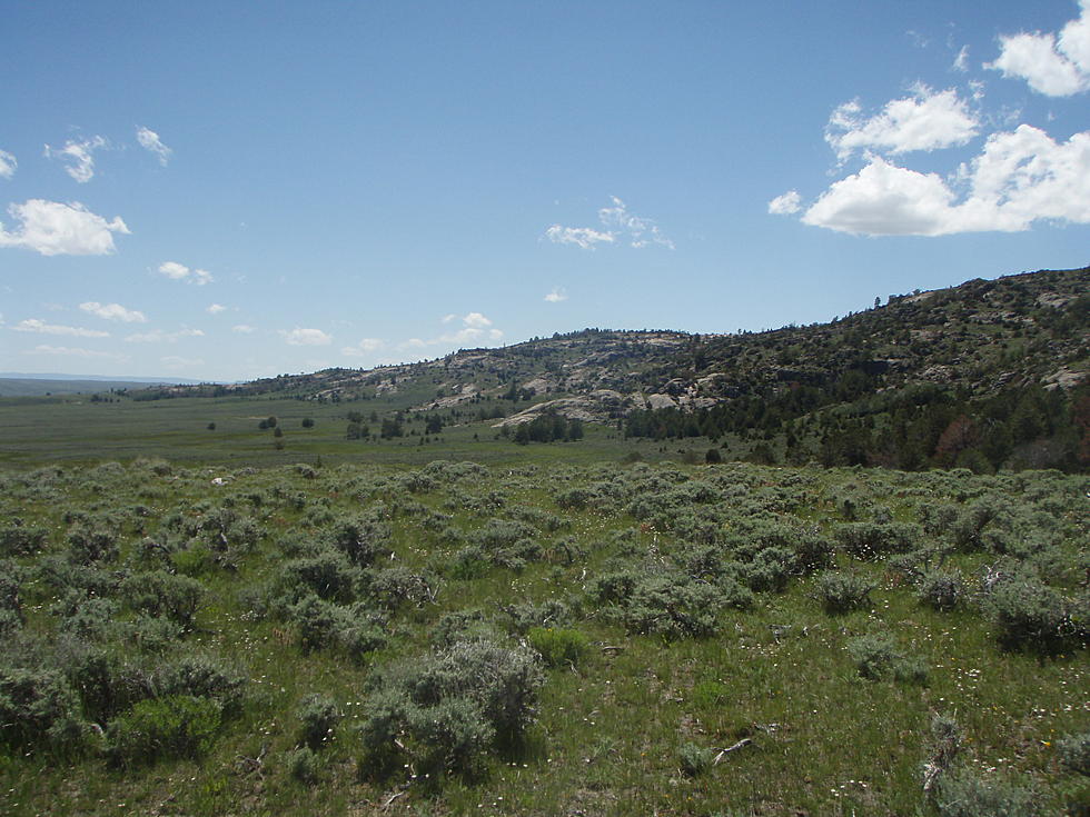 Vandalism At Muddy Mountain Hunter Management Area