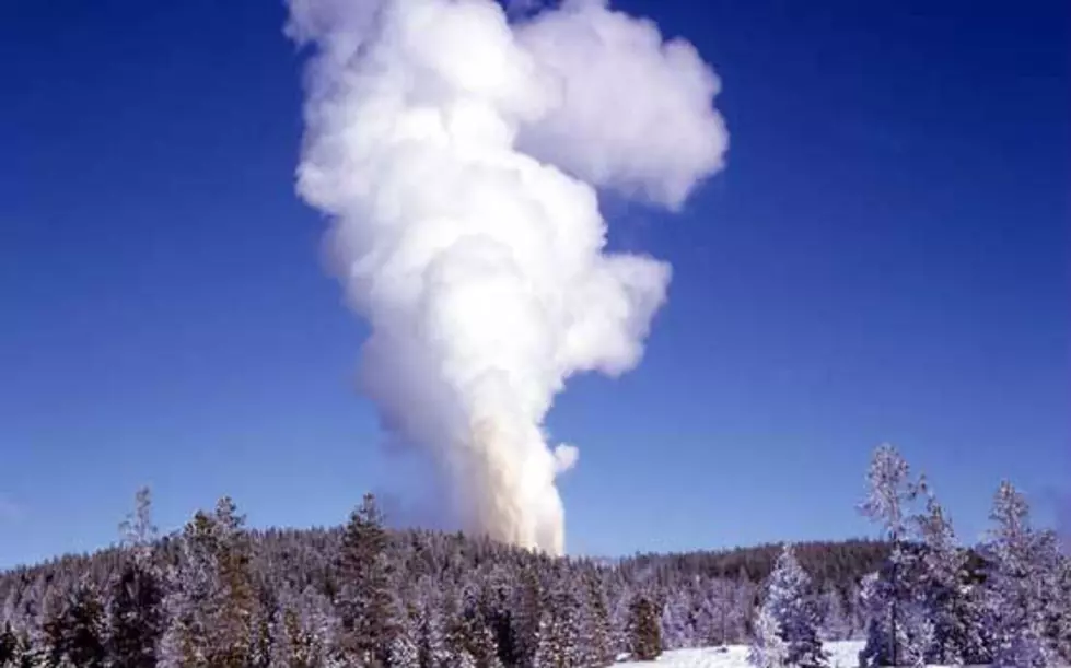 World’s Tallest Active Geyser Erupts In Yellowstone National Park