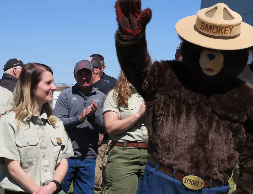 Celebrate 75 Years Of Smokey Bear In Cheyenne