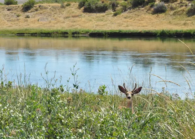 BLM Installs Signs Along Trapper&#8217;s Route Near North Platte River