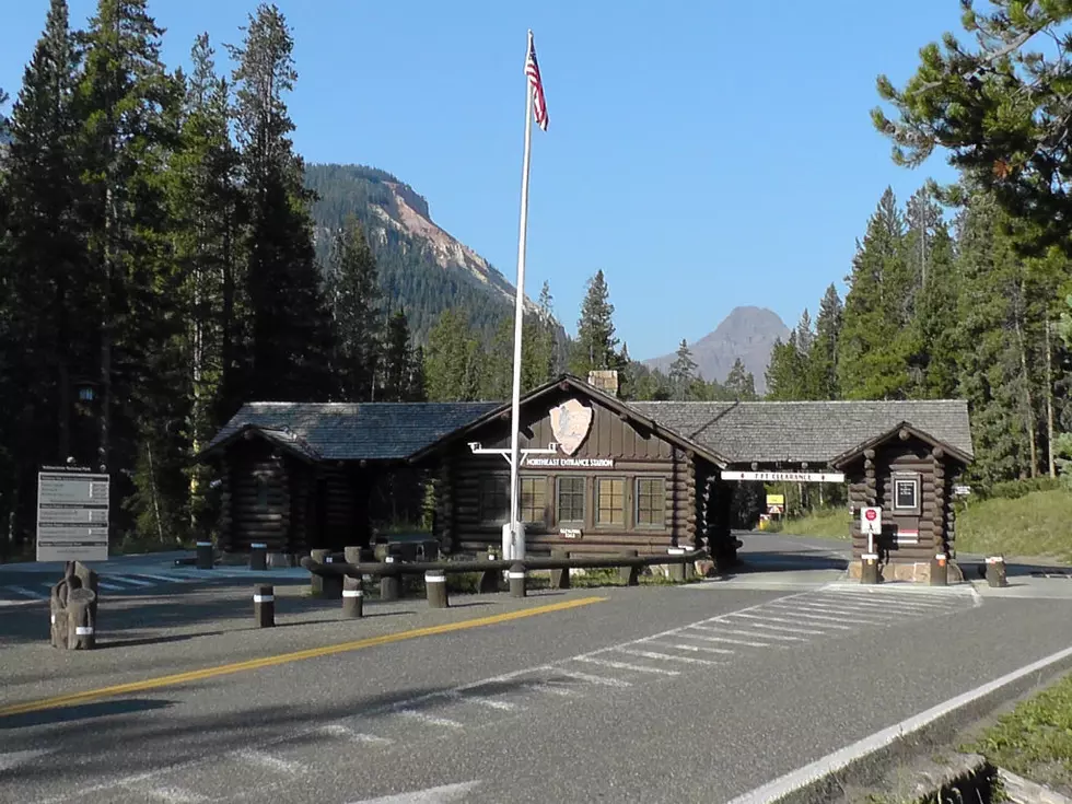 Yellowstone Park Entrances in Montana Opened to Visitors
