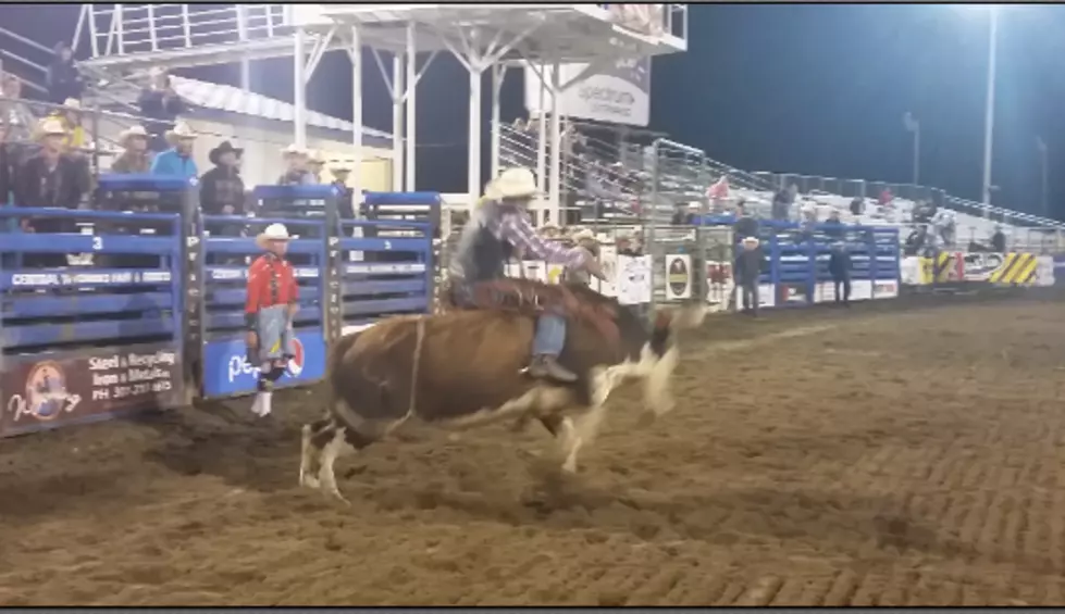 Central Wyoming Fair & Rodeo Bullriding: Wednesday [VIDEO]