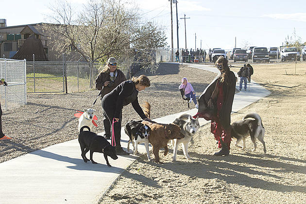 Casper Briefly Shuts Down McKenzie Dog Park On Friday