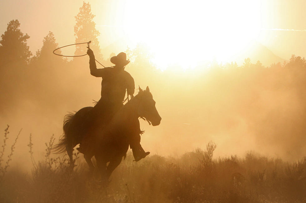 U.S. Senate Declares Day To Honor The American Cowboy