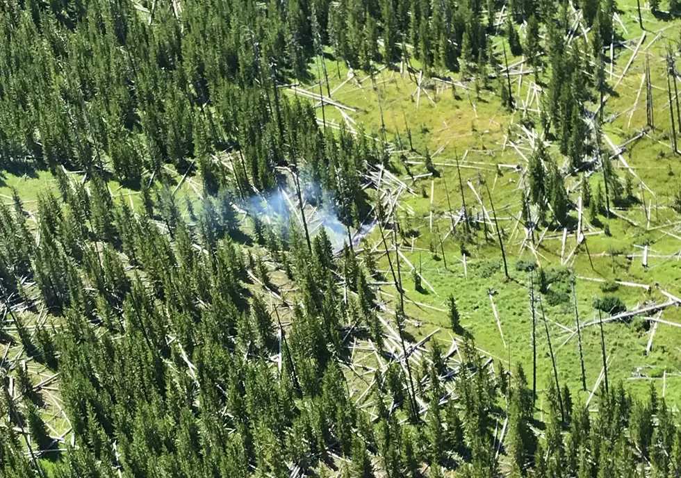 New Fire Starts In Yellowstone National Park