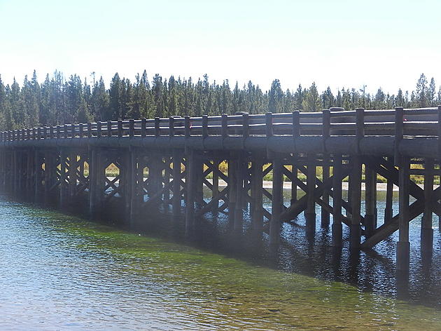 Fishing Bridge In Yellowstone National Park Closed For 3 Weeks