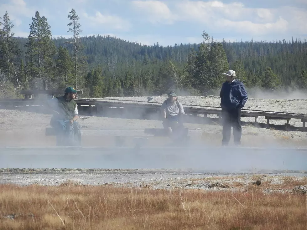 New Thermal Activity At Yellowstone National Park [VIDEO]