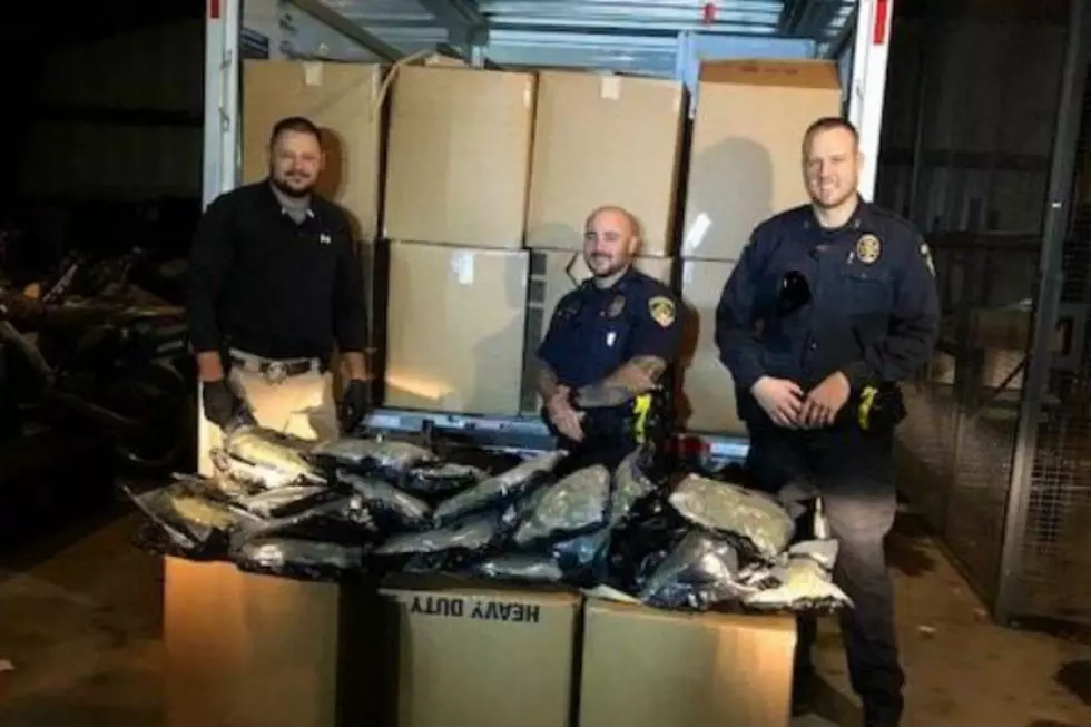 Rawlins Police Seize 300 Pounds of Marijuana in Traffic Stop