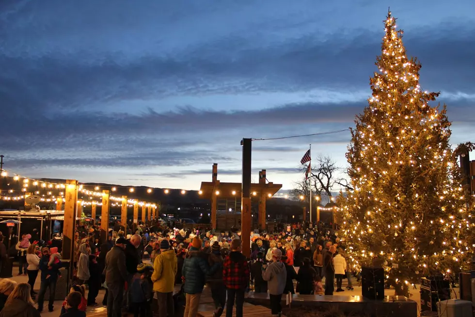 David Street Station Searches For Casper’s Christmas Tree