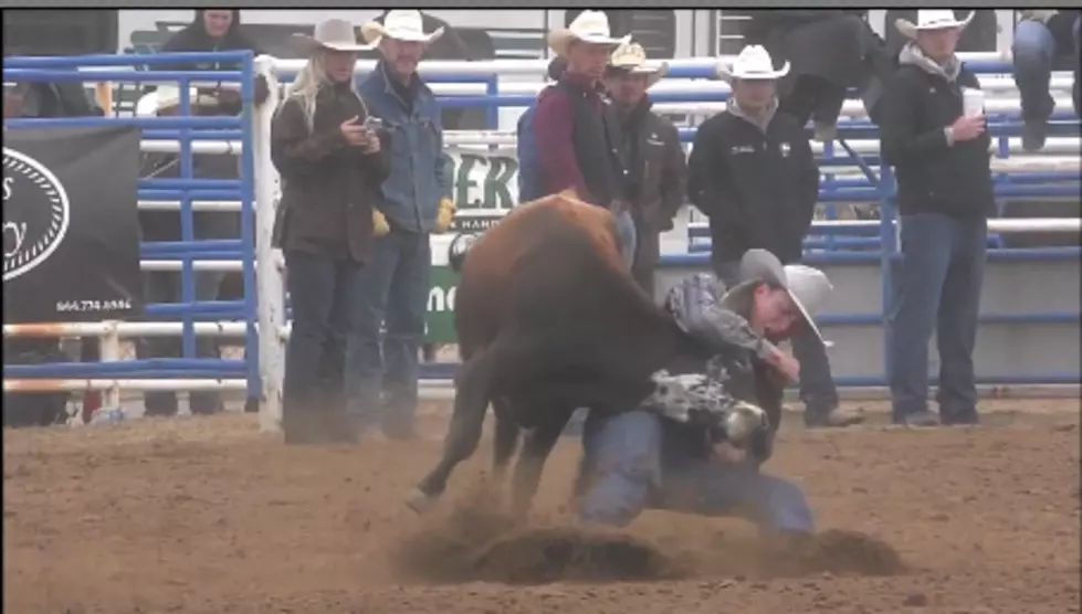 University of Wyoming Rodeo Update [VIDEO]