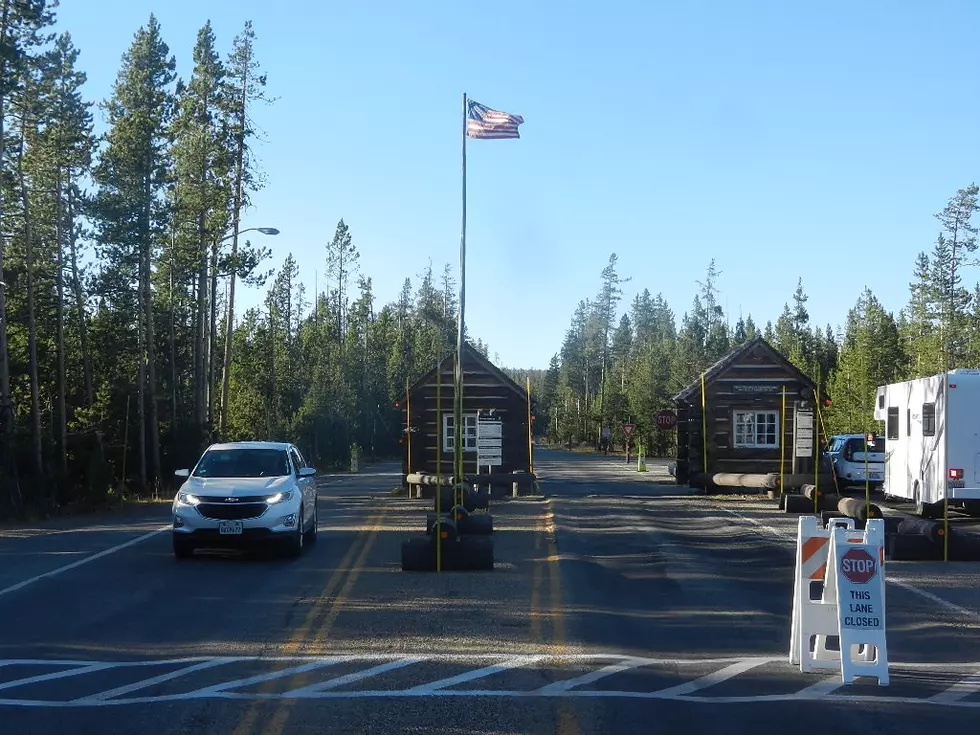 Yellowstone National Park October 2018 Numbers Up; Yearly Numbers Slightly Down