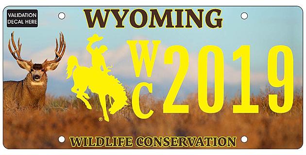 Wildlife Conservation Wyoming License Plate Now Available