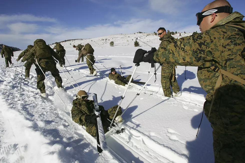 U.S. Steps Up Winter-Warfare Training as Global Threat Shifts