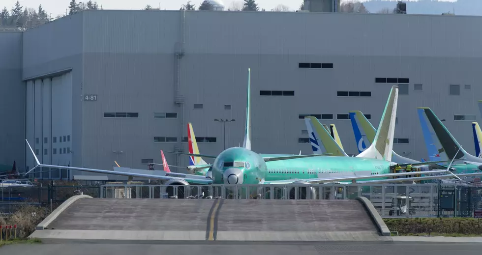 Landing Airplane Hits Bear on Runway