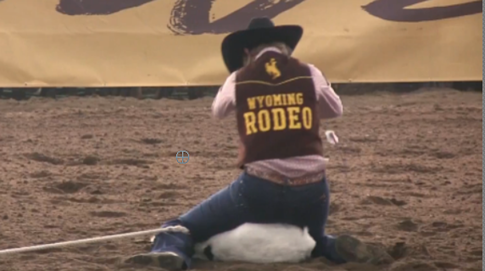 University of Wyoming Rodeo Teams Win Regional Titles