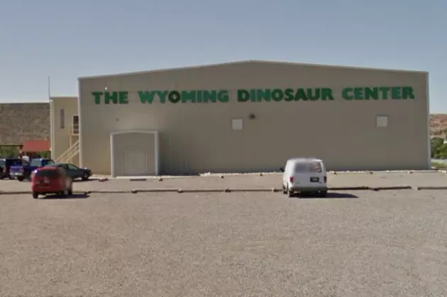 Velociraptor Cousin Exhibited at Wyoming Dinosaur Center