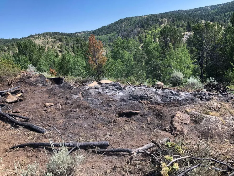 Firefighters Control Small Blaze on Casper Mountain