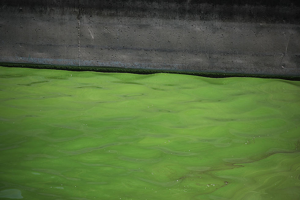 Wyoming Department of Health Warns of &#8216;Harmful Algae Blooms&#8217; in Pathfinder Reservoir