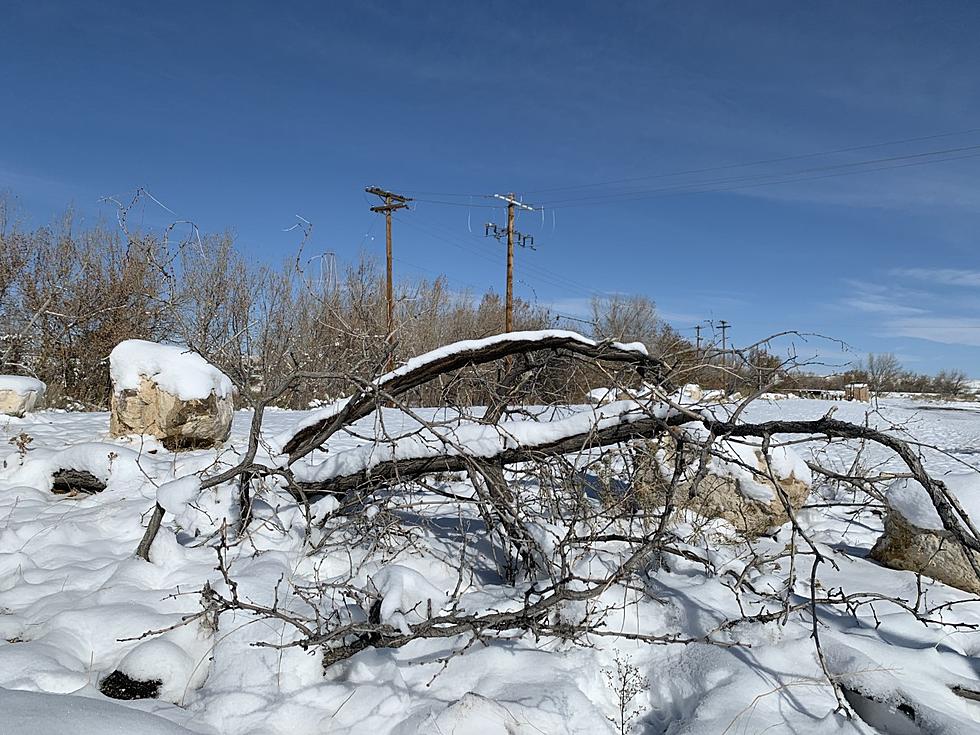 NWS: Casper Could See 2-6 Inches of Snow Through Tuesday