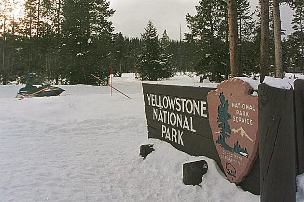 Yellowstone Entrances Close; Park Plans $75M Road Work in 2020