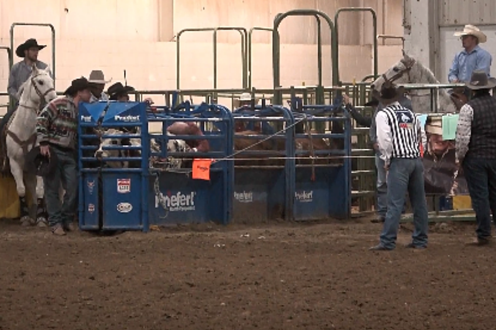 Wyoming Contingent Continues to Earn $$$ at the NFR