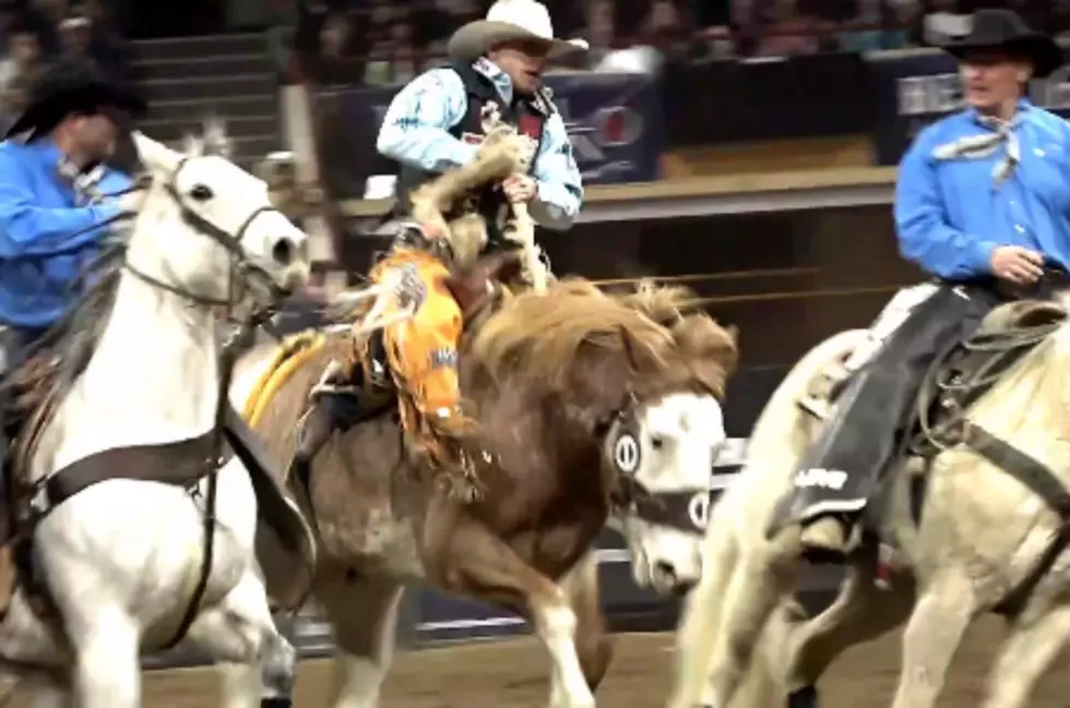 Hillsdale’s Brody Cress Begins 2020 Rodeo Season Sharp [VIDEO]