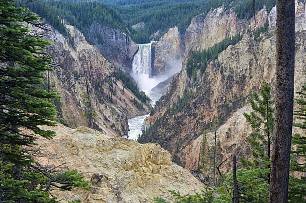 Michigan Man in Yellowstone Charged With Entering Thermal