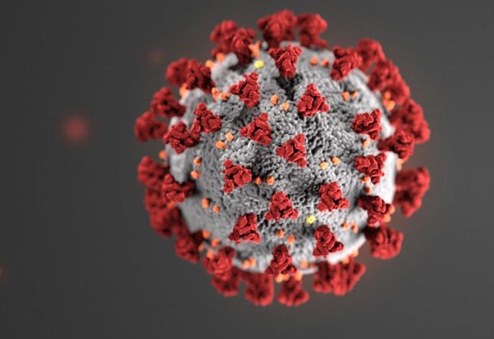 Breaking News: Wyoming Reports First Coronavirus Case