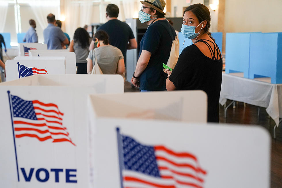 Where To Vote on Election Day in Albany County, Wyoming