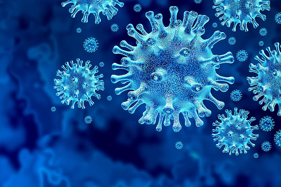 Coronavirus Deaths Are Rising Again in the US, As Feared
