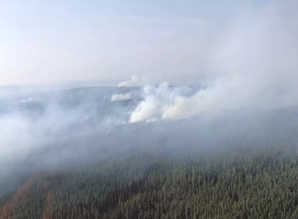 Lone Star Fire in Yellowstone Grows by One Square Mile