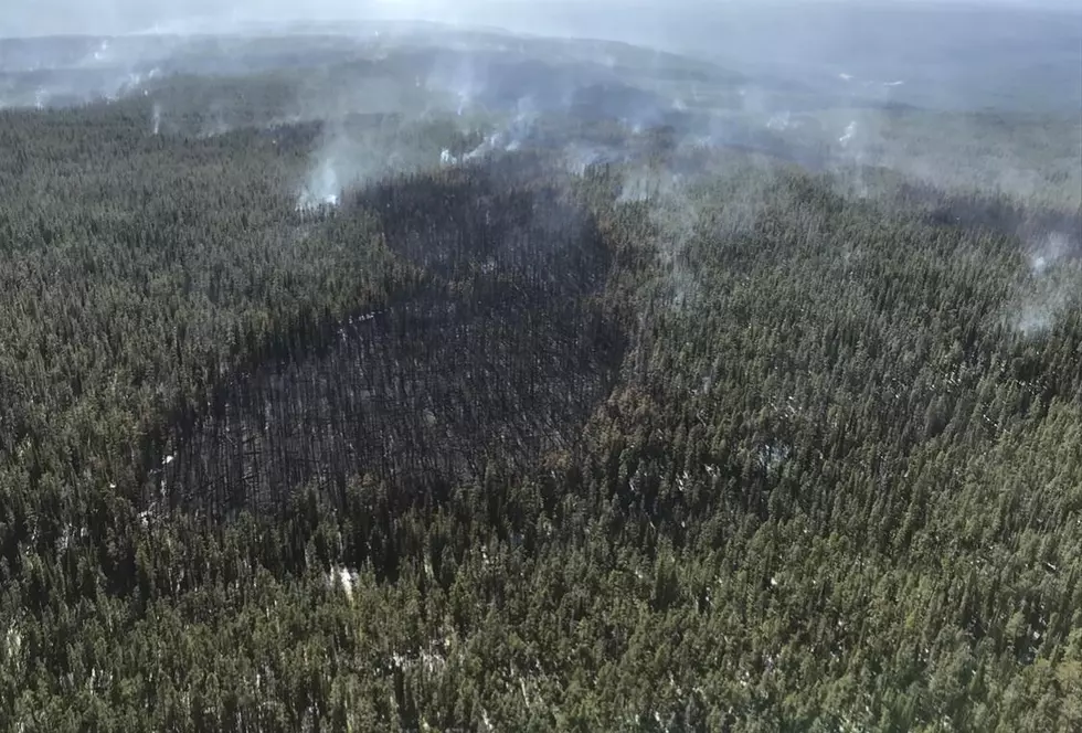 Lone Star Fire in Yellowstone Remains at 5.2 Square Miles