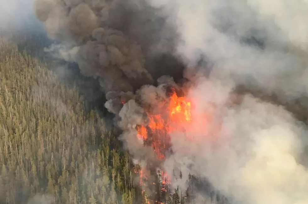 Fire in Yellowstone Reaches 5 Square Miles