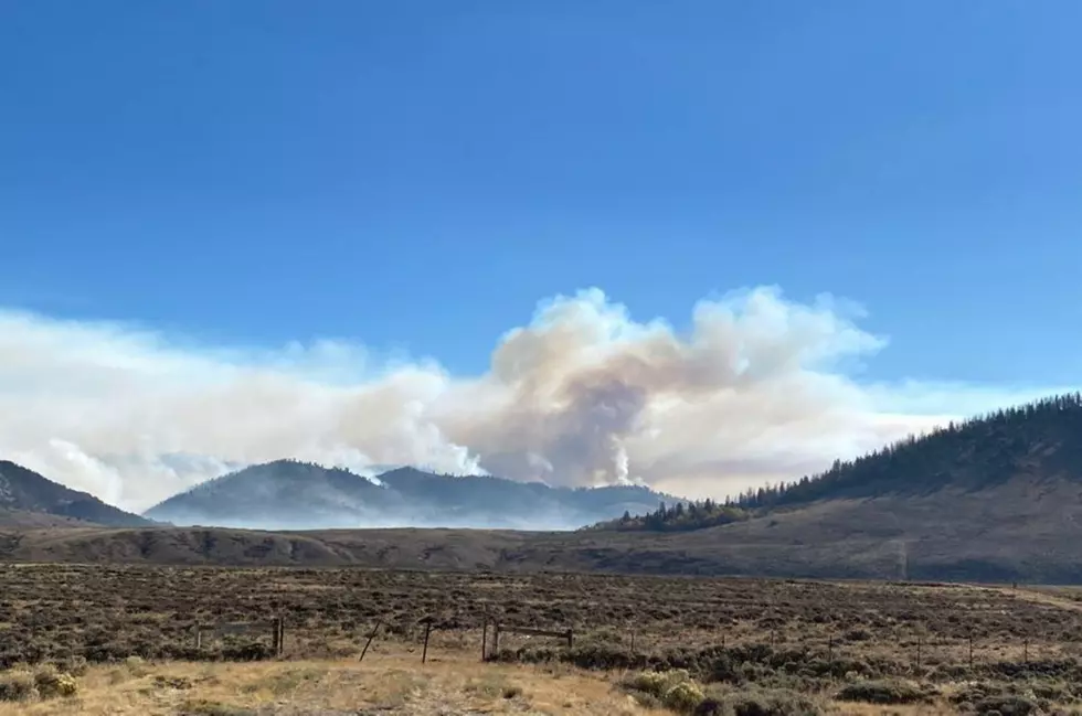Mullen Fire is Expected to Cross Into Colorado by End of Wednesday