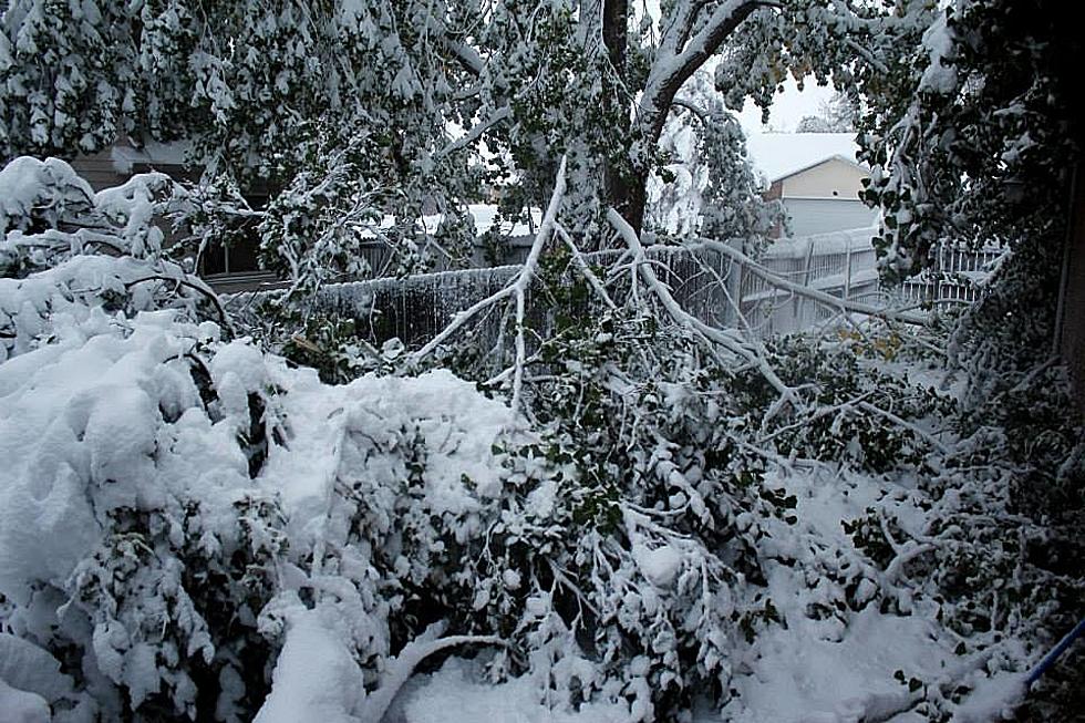 Casper Landfill Extends Hours for Tree Branch Disposal