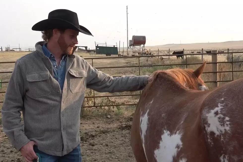 Wyoming Musician Chancey Williams Has a Huge Rodeo Backround 