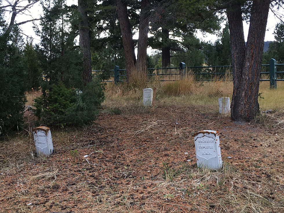 Utah Man Pleads Guilty to Damaging Yellowstone Graveyard