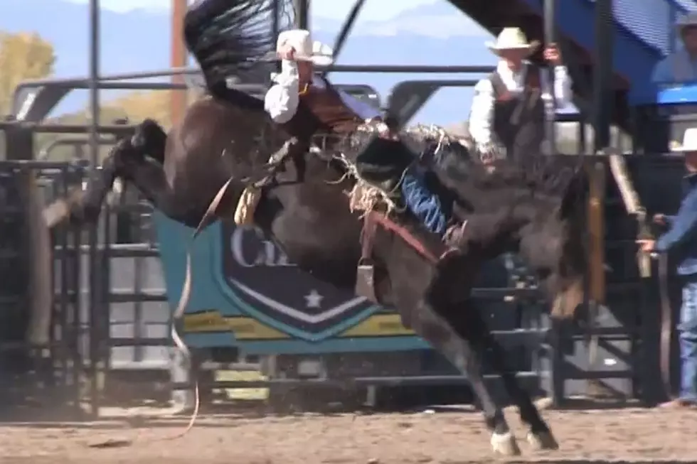 Cheyenne Frontier Days Rodeo Results For Thursday, July 28
