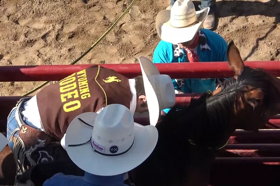 UW Men's Rodeo Team Leads Central Rocky Mt. Region [VIDEO]