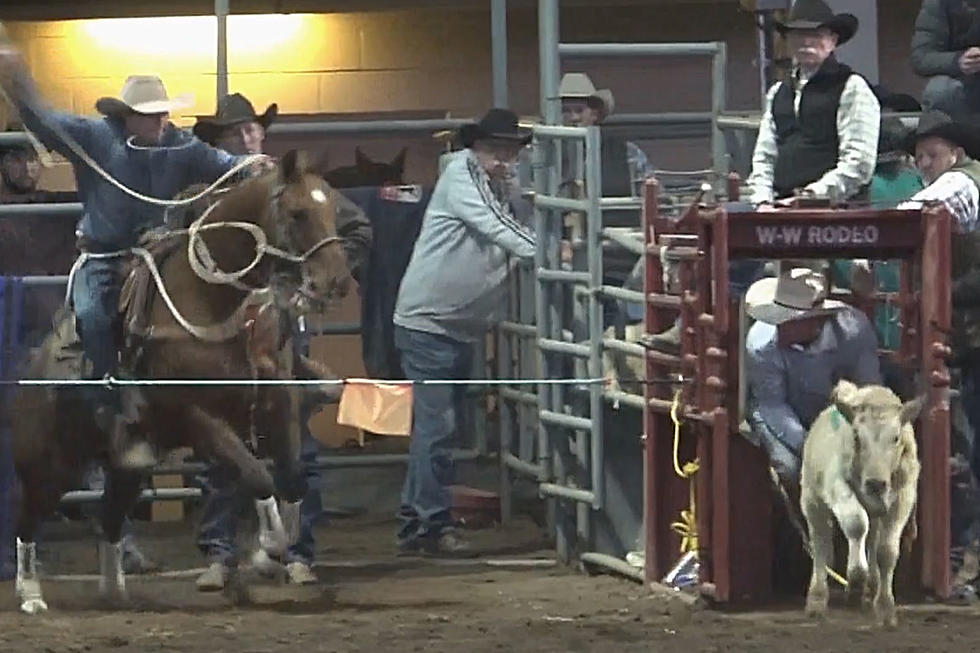 UW's Jase Staudt Turns In Solid Effort at the Mt. States Rodeo
