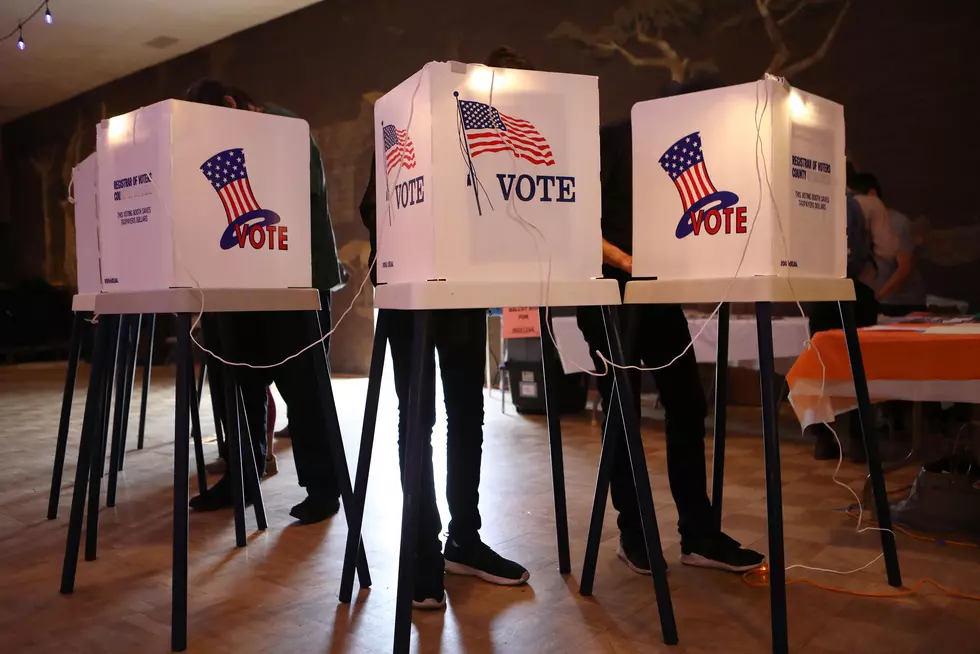 Michigan Senate GOP Probe: No Systemic Fraud in Election