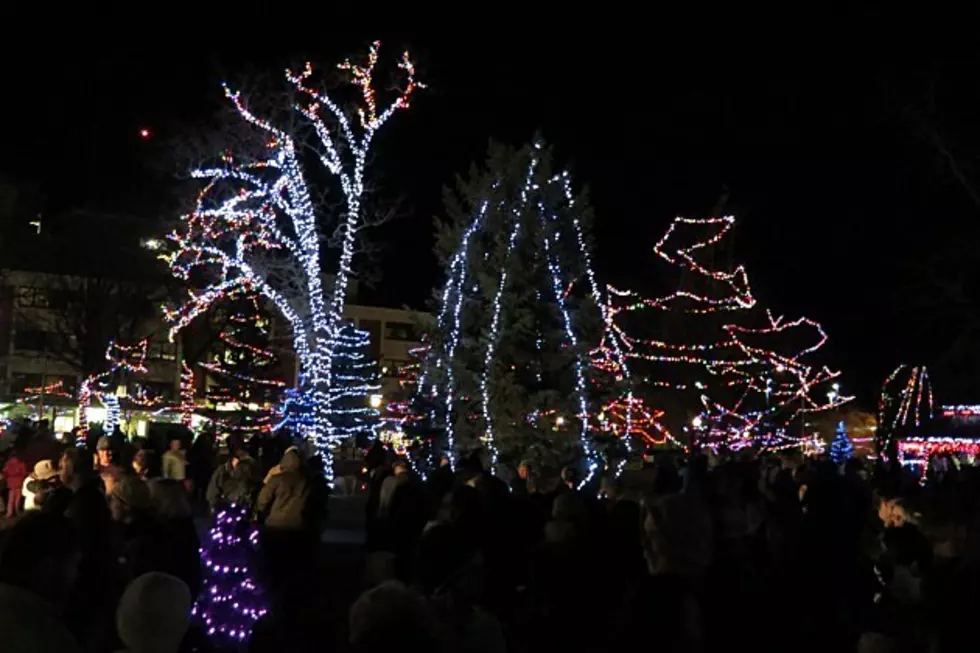 Lots of Lights at Casper’s Conwell Park, But No Lighting Ceremony This Year