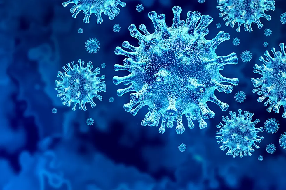 337 New Virus Cases Reported in Wyoming, 29,389 Confirmed Since Pandemic Began
