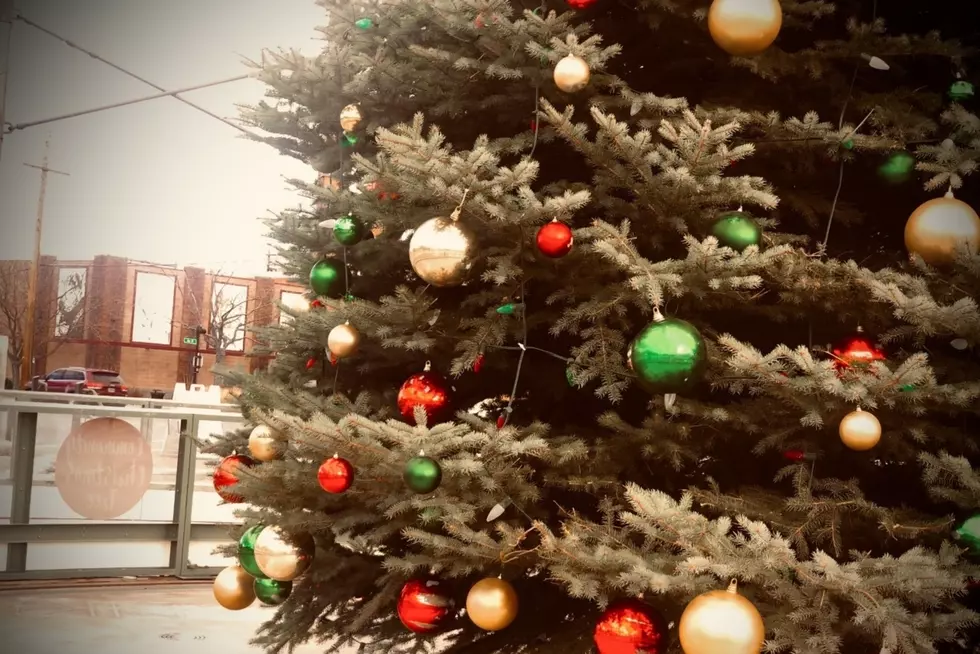 David Street Station Partners with Community for Christmas Tree Lighting