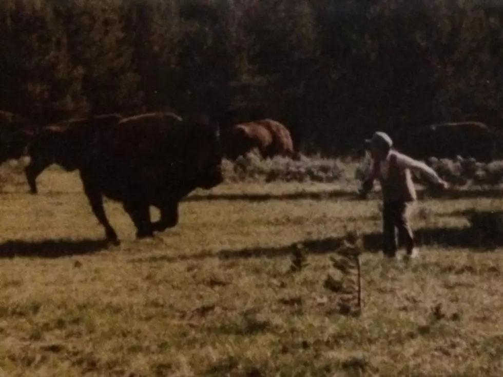 Yellowstone Tourists Weren't That Different in the 1970s