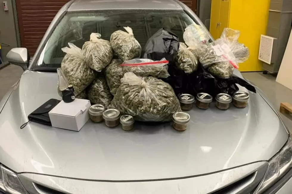 Laramie County K9 Unit Discovers 19 LBS of Marijuana During Traffic Stop